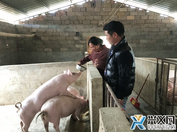 冯才正:养猪致富不忘乡邻带领群众共奔富裕路