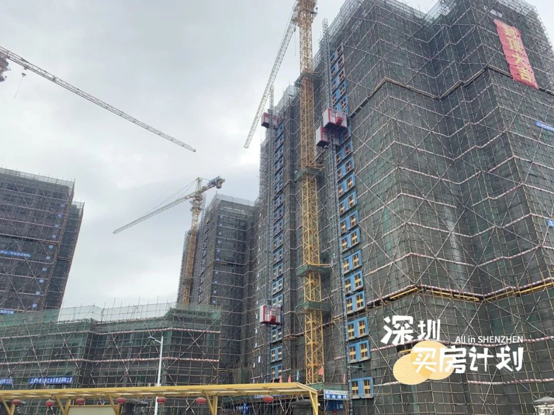 深圳目前值得打新的楼盘,深圳12月打新火爆新盘