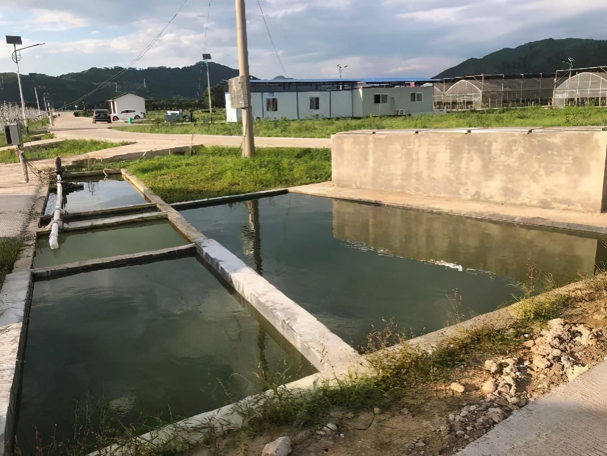 无废城市与环保公益相结合,无废城市主要是减少什么