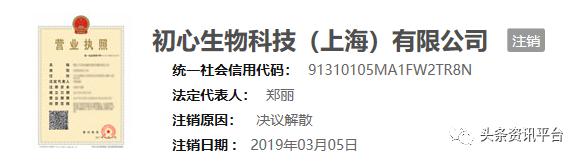 初心集团最新事件,初心集团是真是假
