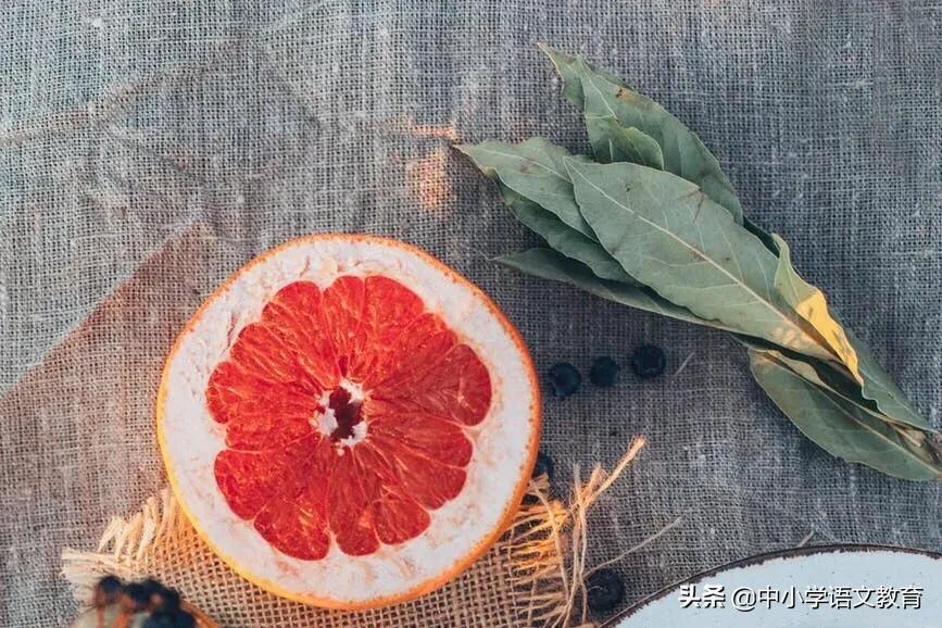 八年级语文期末复习字音字形,八年级语文期末总复习