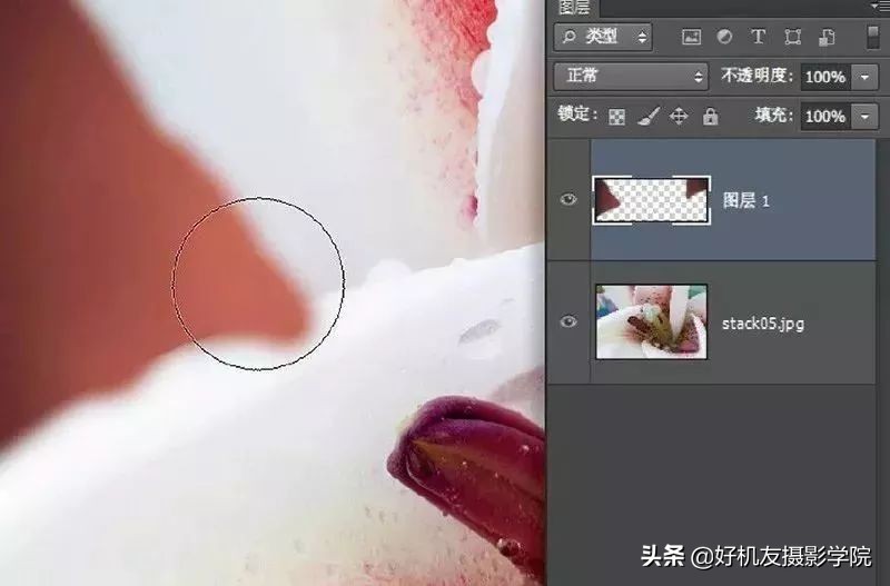 景深后期怎么合成照片,如何拍出前虚后实的景深照片