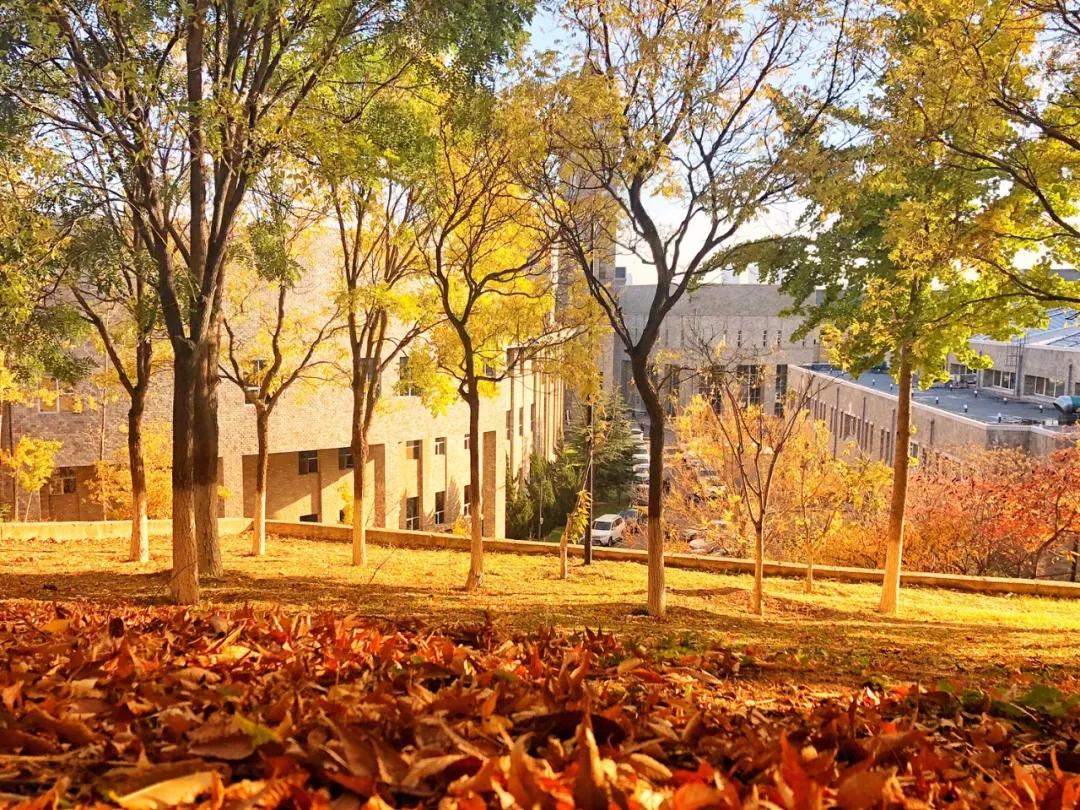 辽宁省民办大学（二）大连东软信息学院