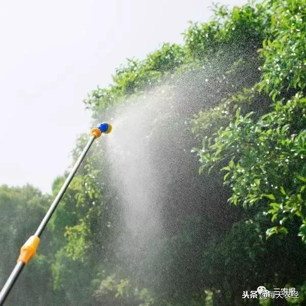 果树出现药害怎么补救,啶虫脒果树药害症状