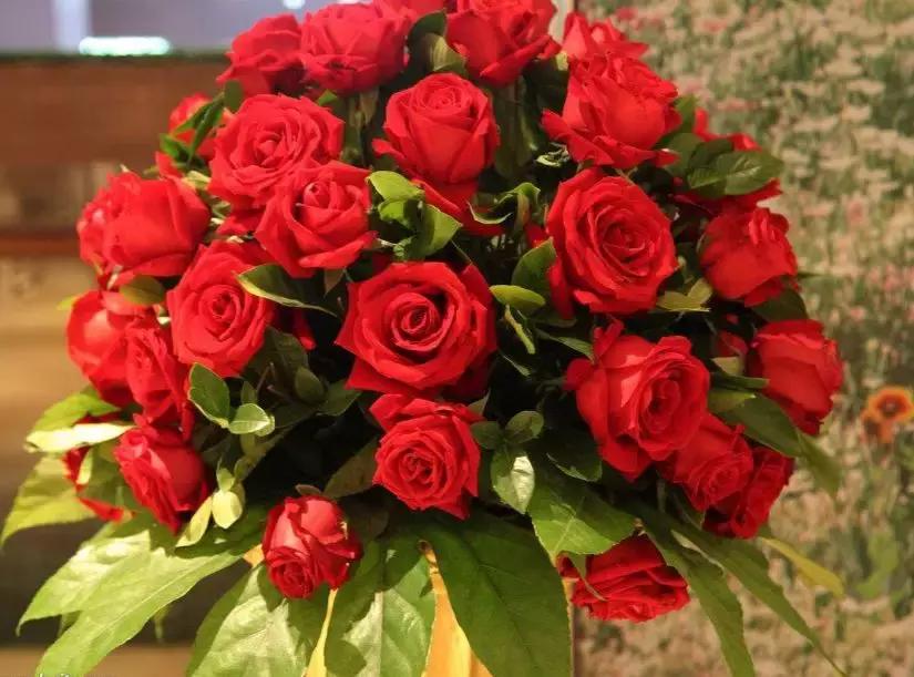 情人节送粉色玫瑰还是红色玫瑰,情人节送白玫瑰的花语和寓意