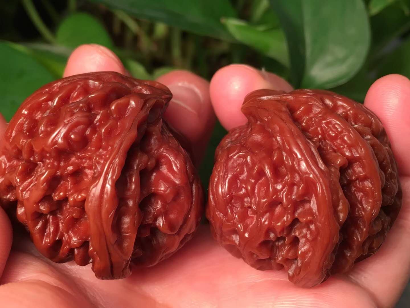 文玩核桃正确盘玩和保养方法,新入手文玩核桃需要入水吗