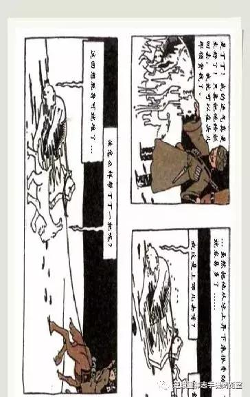 丁丁和丁丁历险记论文,丁丁历险记丁丁的服装