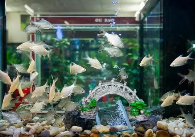 昆明旅游购物攻略大全最新,昆明旅游吃喝指南推荐地方在哪里