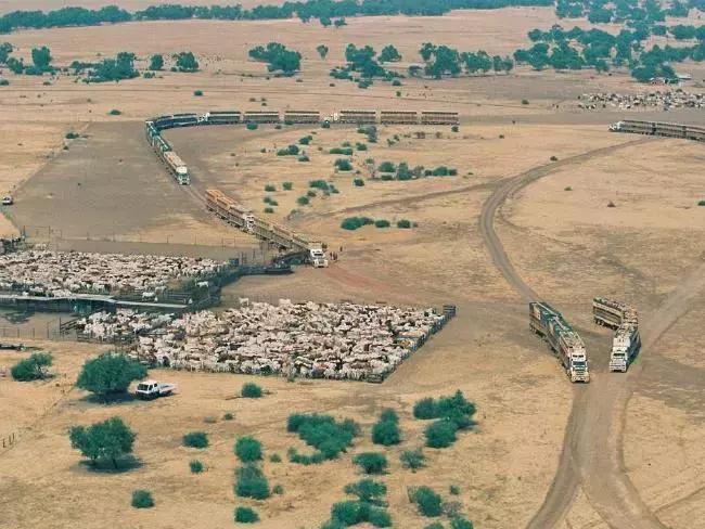 澳洲的神奇事件,澳洲八大奇怪秘密