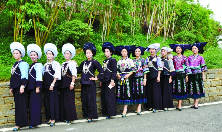 中国56个民族知识大全书籍,关于中国56个民族的知识