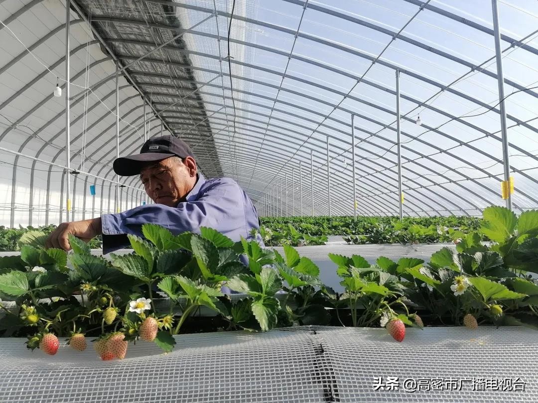 高密的生活,幸福在高密