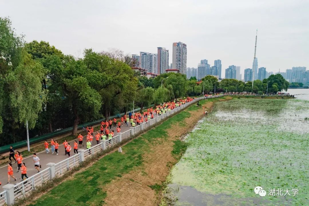 2023年考研报考人数继续飙升,考研关注