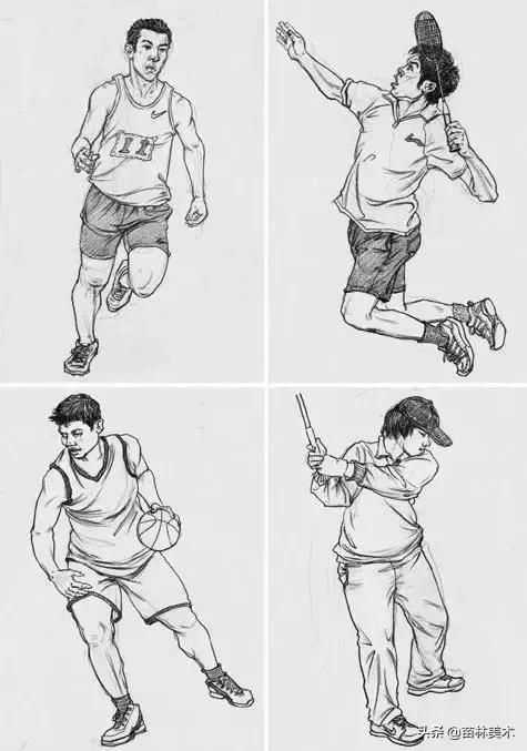 最全的速写的理论知识,速写最快学会