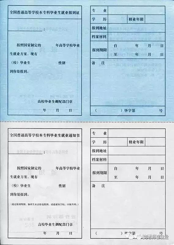 政策｜关于报到证的辟谣和解读