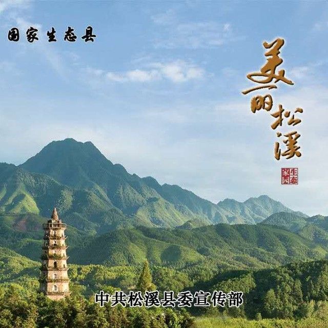 武夷山原产茶叶带您品好茶,武夷山生态好茶