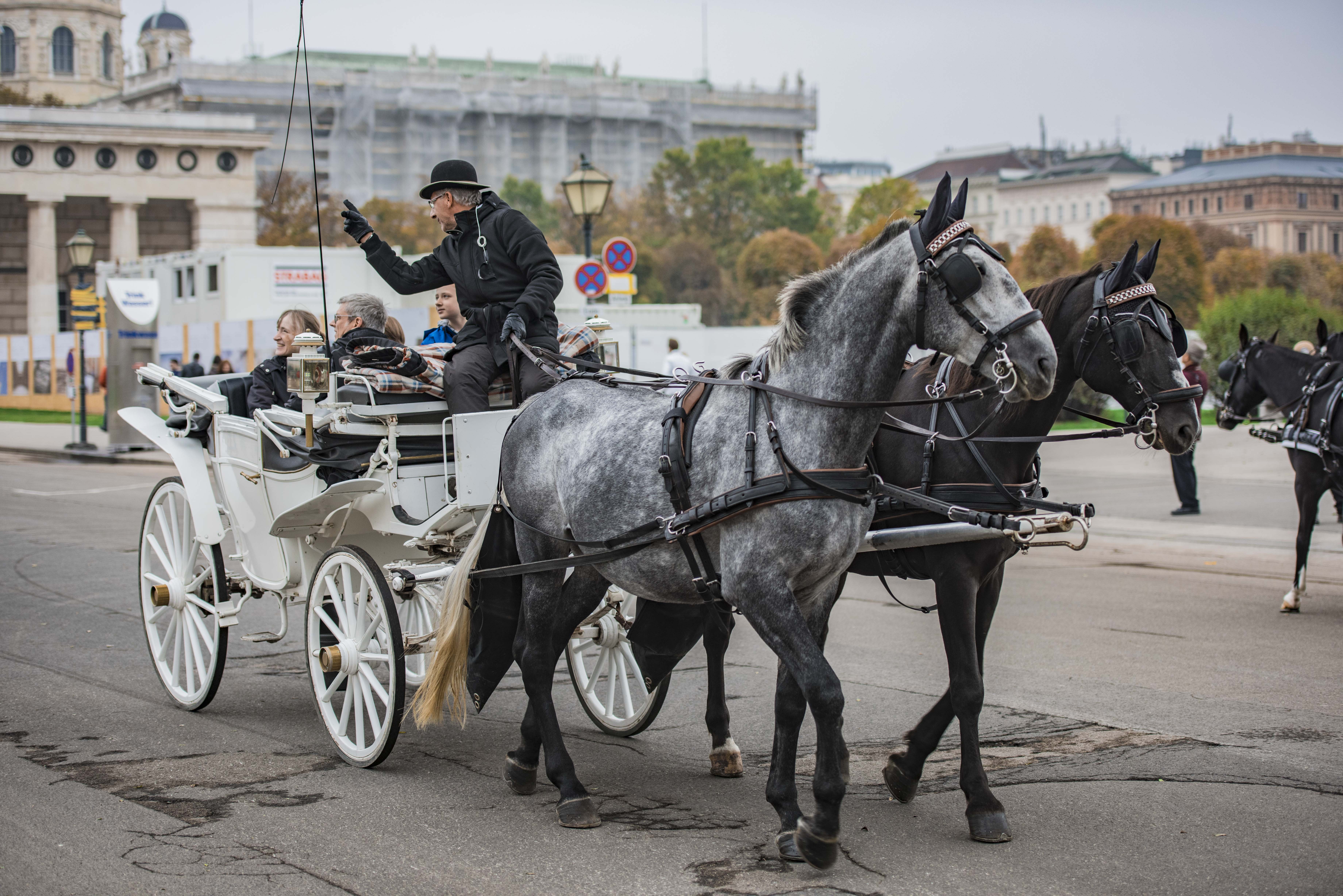 拒绝希特勒两次的城市，二战以来的维也纳