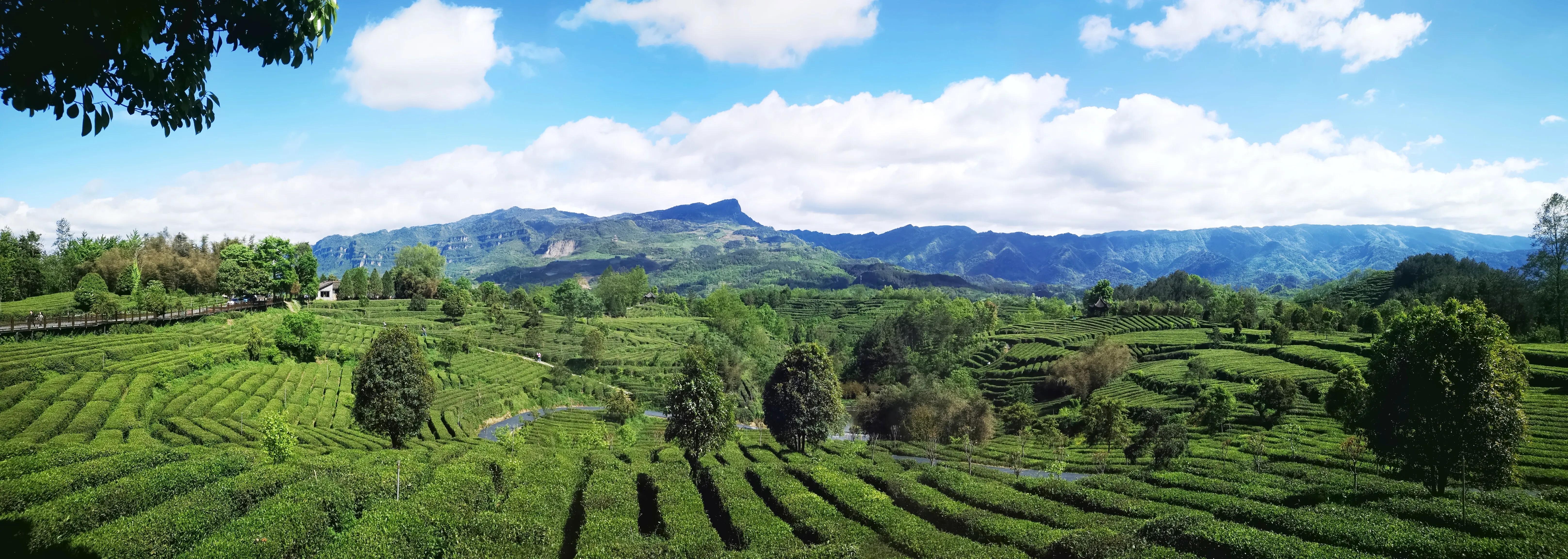 小路虎是指哪款车,小路虎电动车