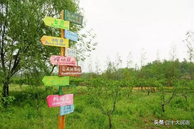 国内性价比高的温泉民宿推荐,江浙温泉民宿有雪景