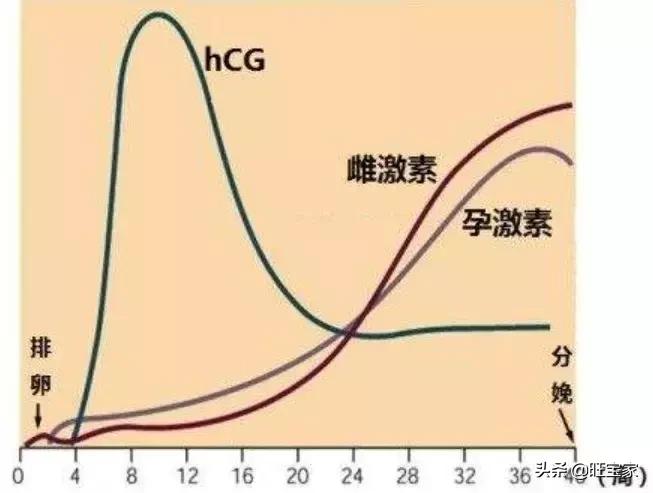 小产坐月子是天方夜谭？小产的这些事儿你必须了解！