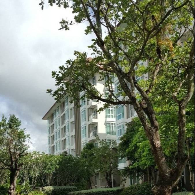 泰国清迈东方文华酒店,清迈夜市动物园附近酒店