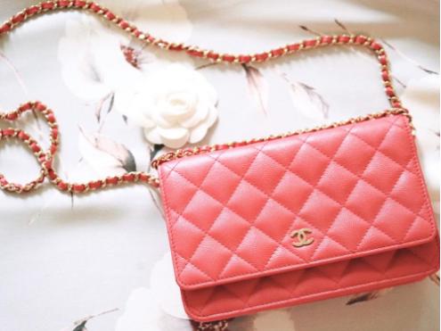 缈拌涓撲笟鐨潻淇濆吇,缈拌鐨潻鎶ょ悊绮惧崕