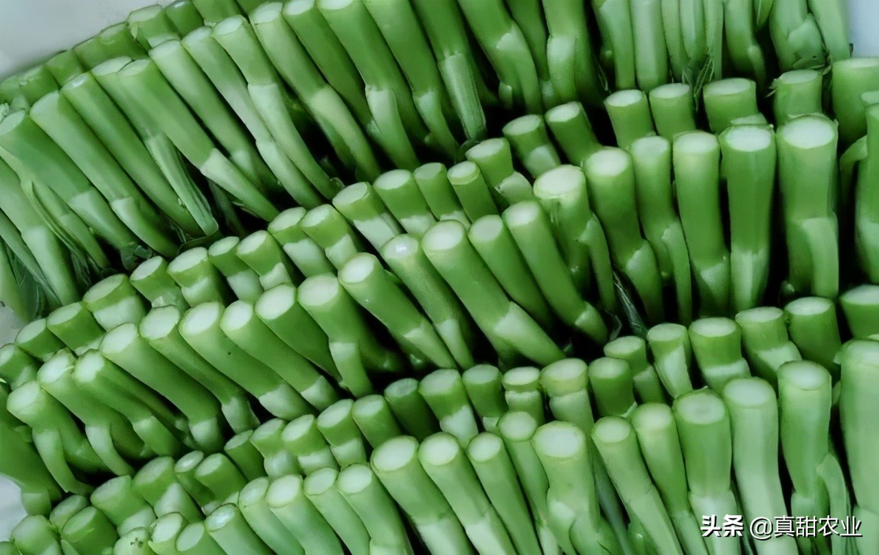 广州江南市场菜价指数飙升8.82%,菜心系列暴涨,究竟为哪般?