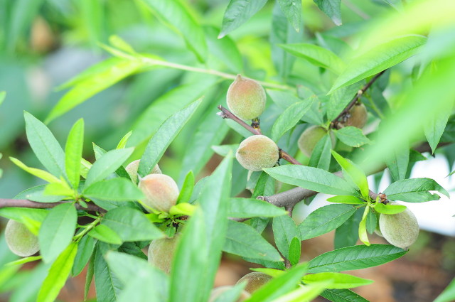 儿时记忆终生难忘,值得回味儿时的记忆