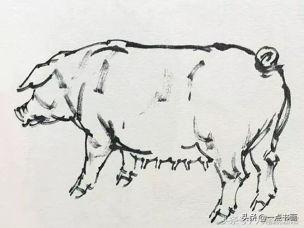 简单猪画画教学,国画写意猪图大全