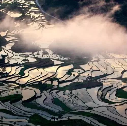 茗岙梯田+楠溪江+瓯江帆影+云和梯田+水墨仙都6日摄影团