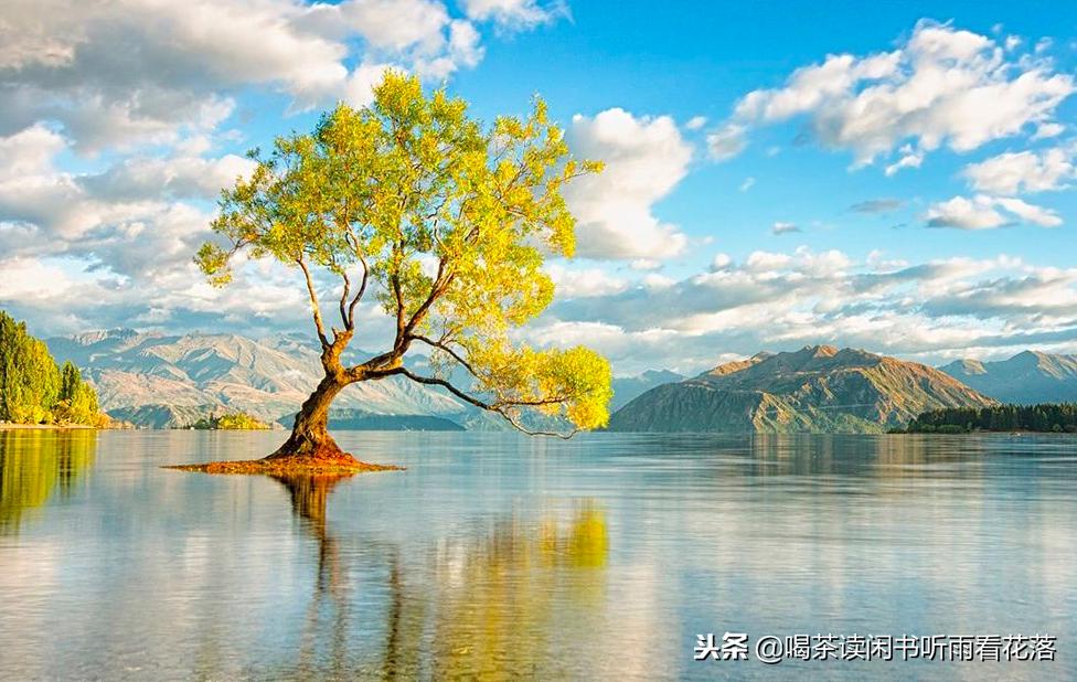 13天自驾新西兰，这个不缺蓝天与绿草的国度无比的热情富有生命力