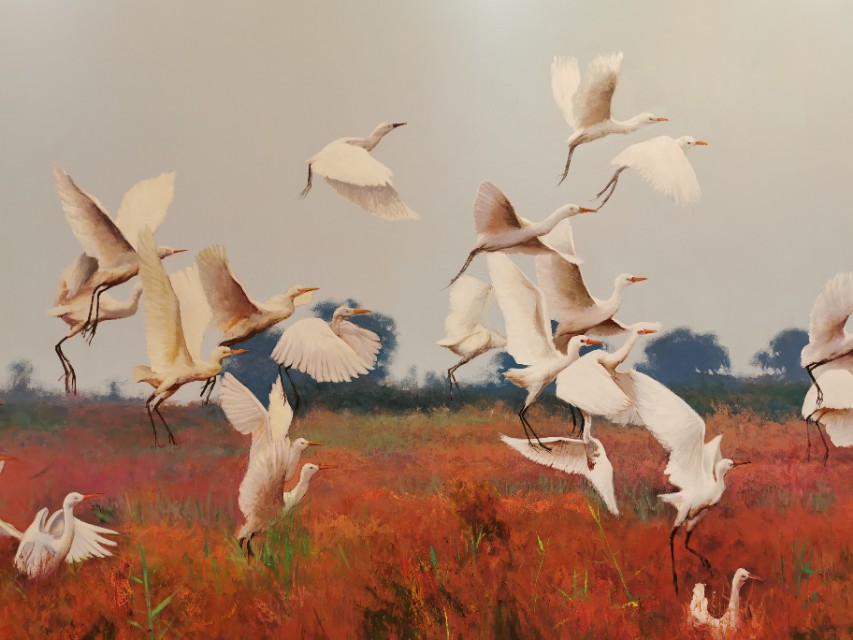 东营安康宾馆,东营宾馆如何