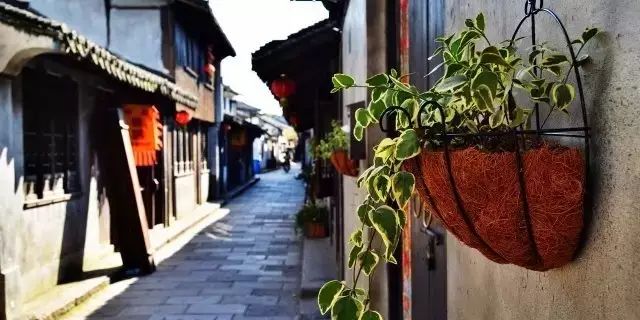 吐血整理！在上海你一定要知道这些