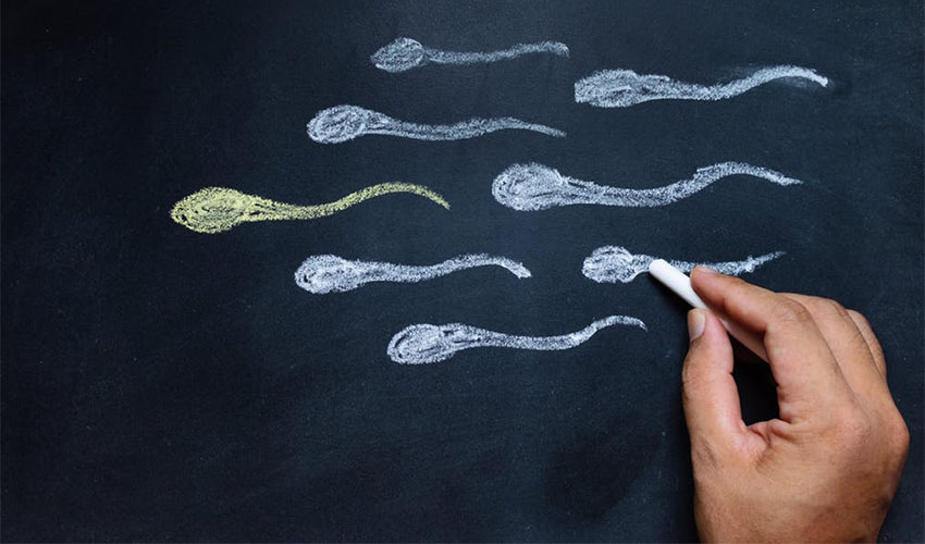 精子生育力分析,精子数量多好怀孕么