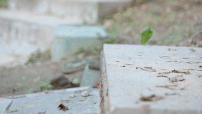 美国阿迪感到了压力！中国战狼刀锋鞋负重前行，国产跑鞋弯道超车