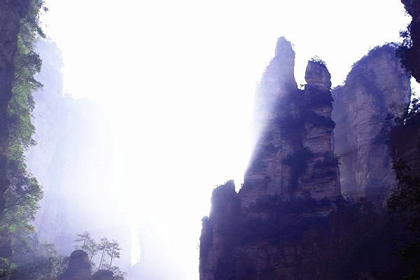 张家界自助游详细攻略,张家界国家森林公园旅游详细攻略