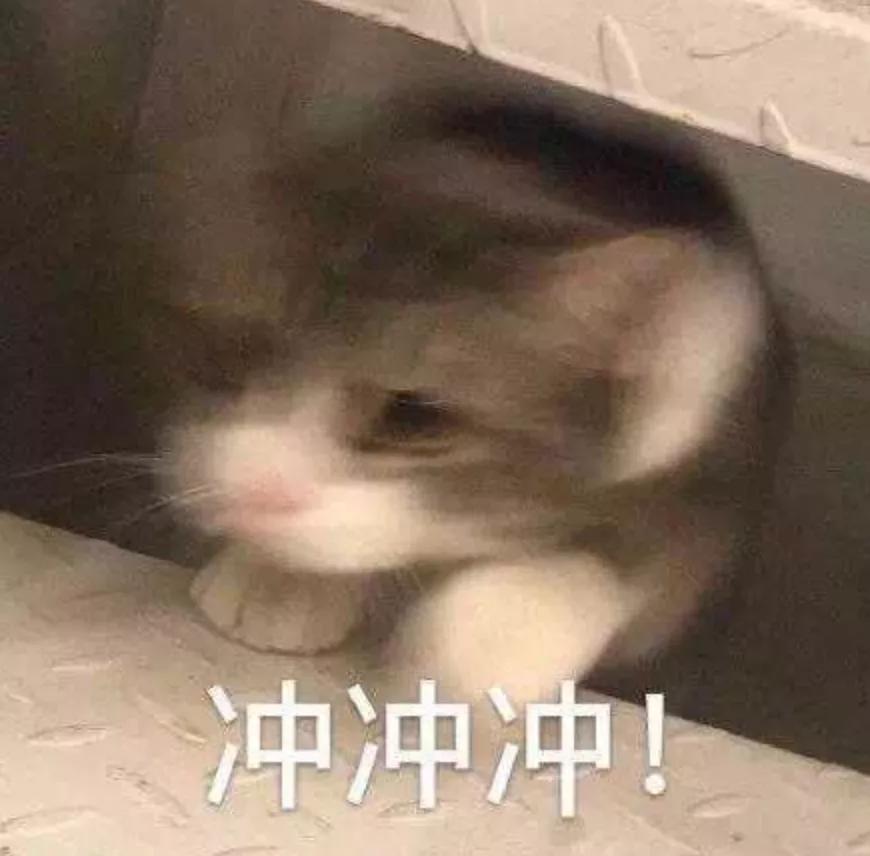 火箭女兵的真实生活,火箭女兵开始入伍