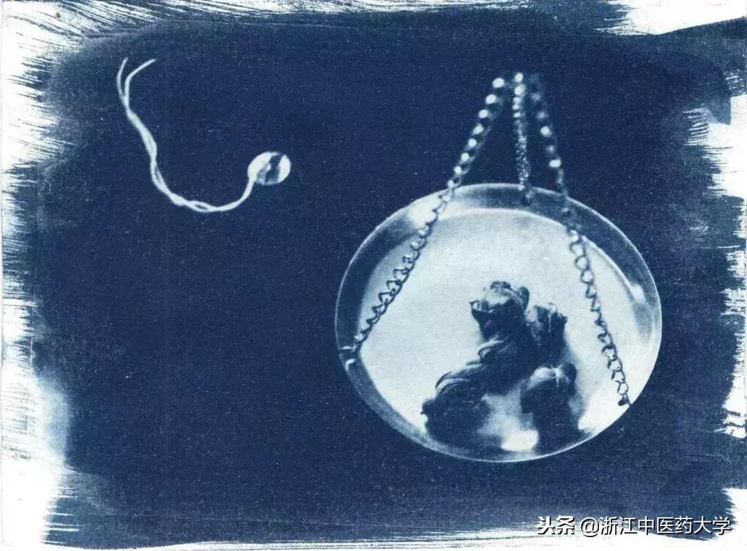 用镜头诉说中医药之美