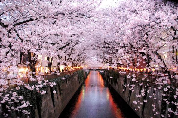 东京旅行性价比最高的酒店,东京旅游性价比高的酒店