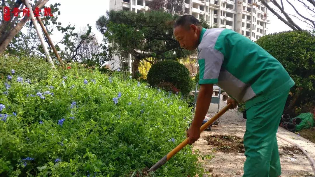 星河爱家,星河家园物业管理