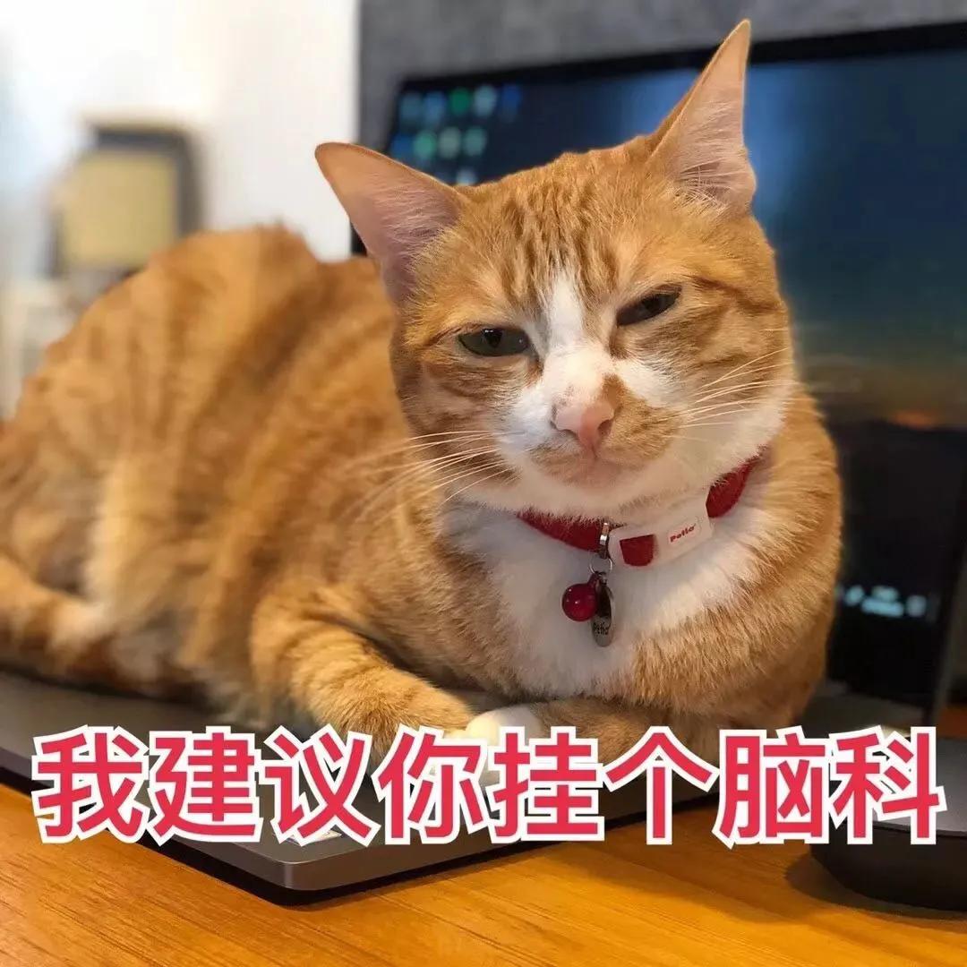 养宠小芝士|怀孕难道不能养猫吗？这里有你想要的答案