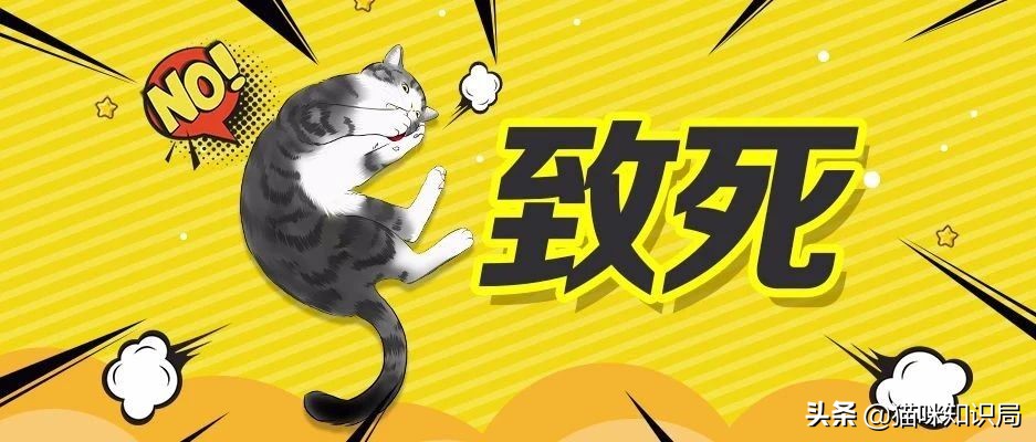 猫冻干有哪些种类,冻干会导致猫软便吗