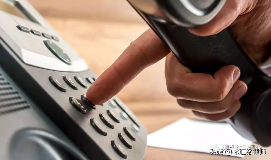 虐待国家保护动物在哪举报,反动物虐待保护法在哪儿投票