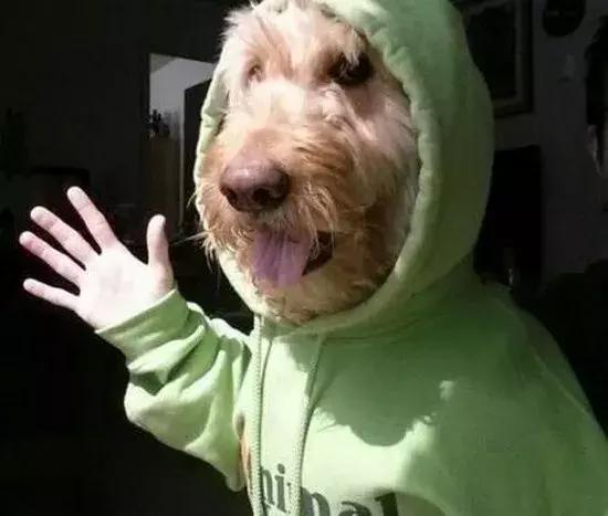 “你自拍的背景看起来太穷了”