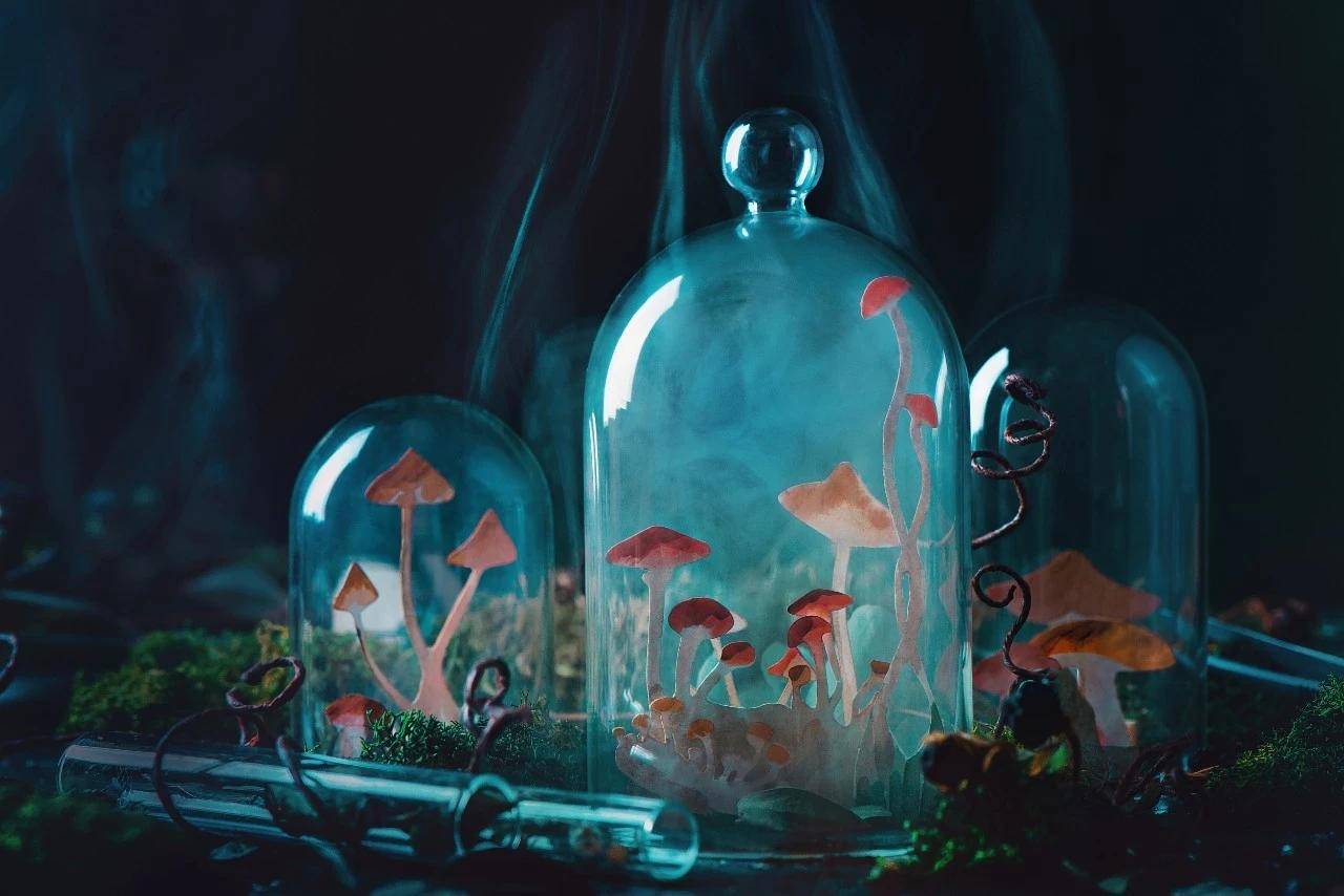 《藤野先生》《从百草园到三味书屋》：比较老师形象的异同