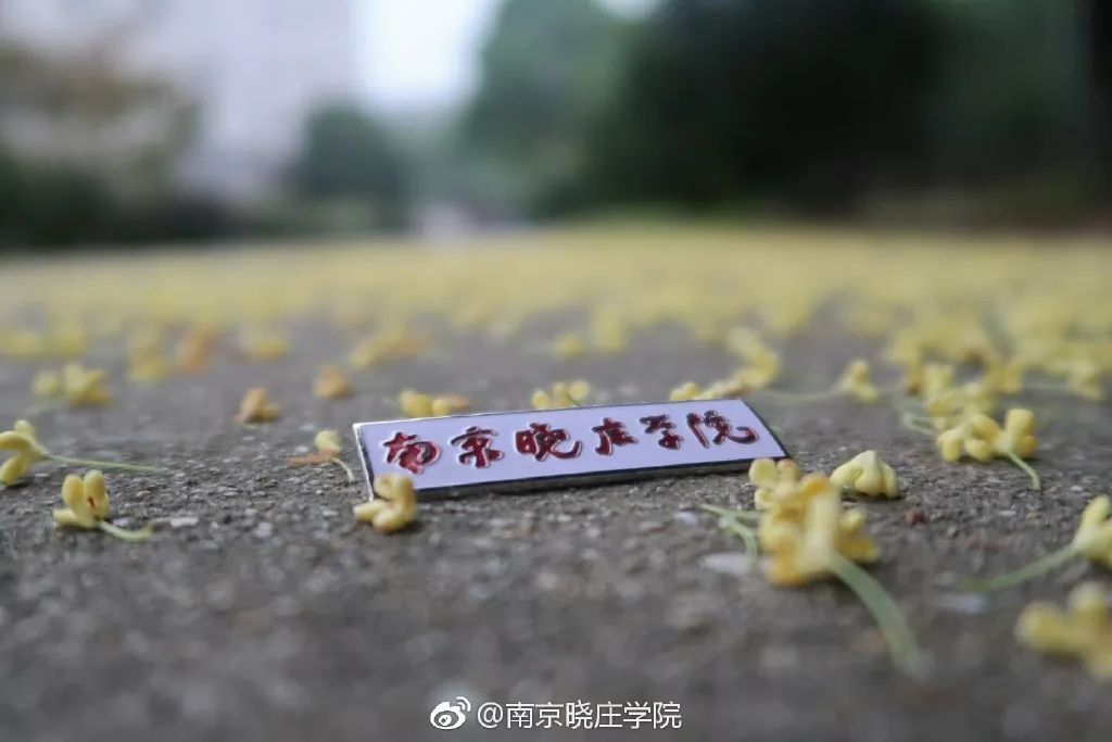 低调的南京图片,低调的南京