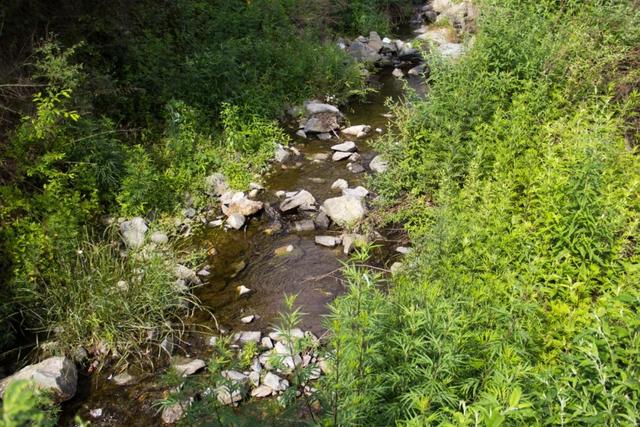 秦岭九天山,秦岭九天山图片大全