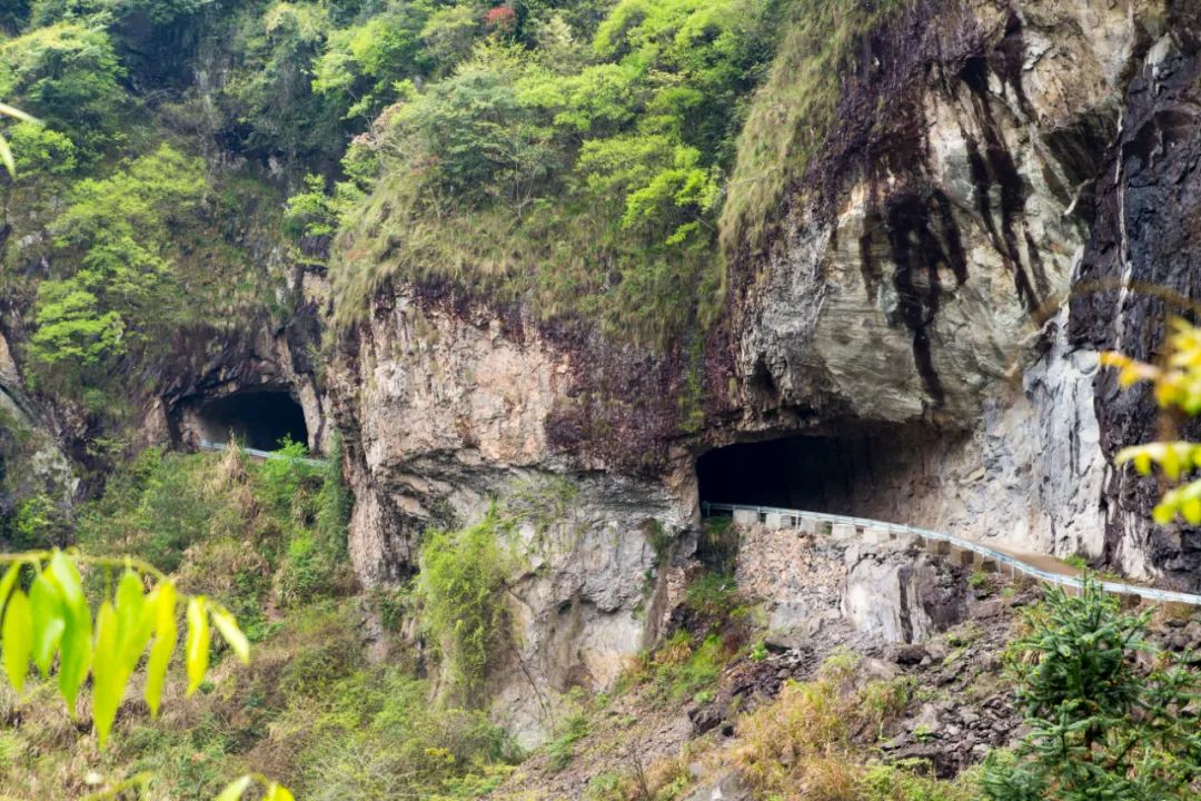 探访悬崖峭壁,大峡谷绝壁长廊