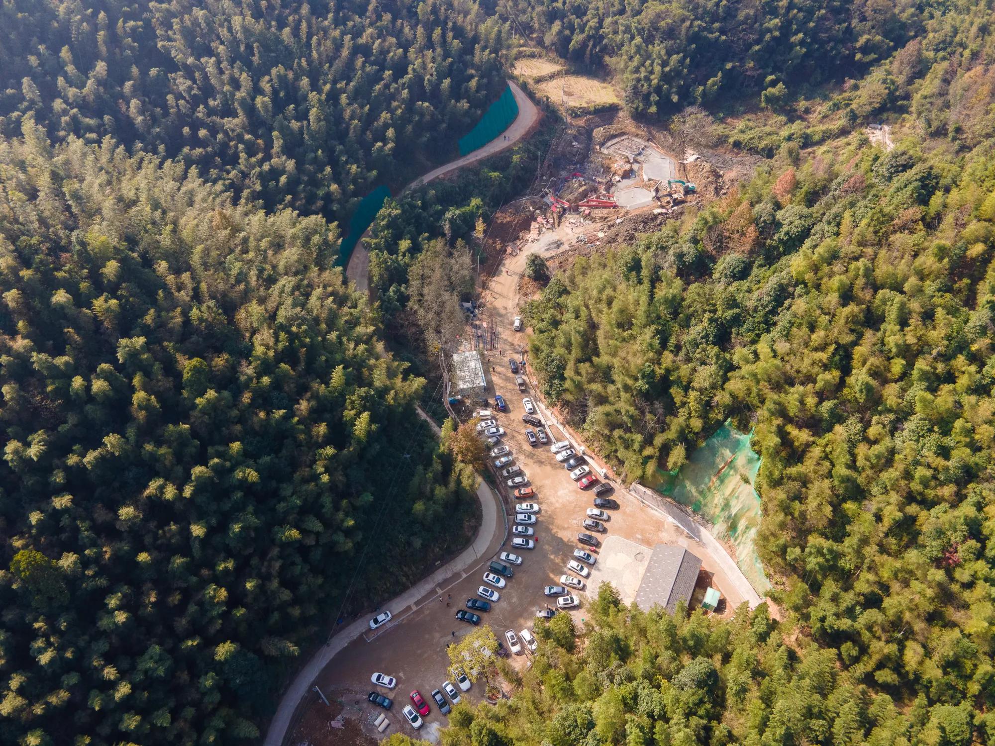 高岭古村银杏,高岭乡高岭村