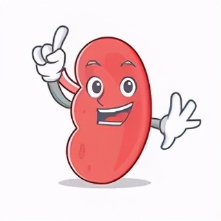 掌健识健康百科,肾脏肌酐指数