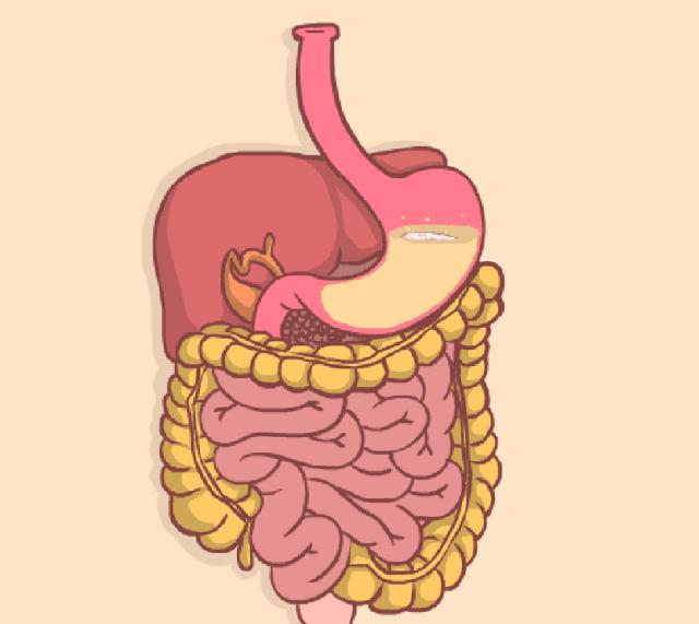 痒痒的透明小水泡是什么,痒痒的小红点有水泡怎么回事
